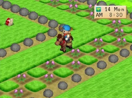 Cheat Harvest Moon Btn Android App