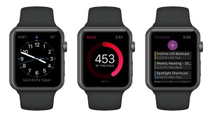 How To Make a Screenshot on Apple Watch
