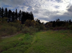 Nexus-6P-Camera-Review2