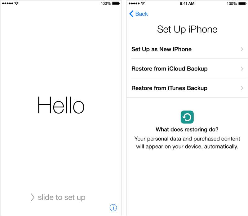 Problems on iOS 9.3 and How to Fix It - Set as New Device