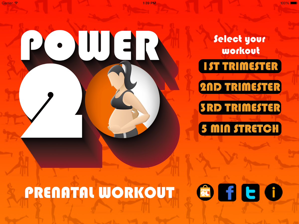 Pregnancy Workouts Free