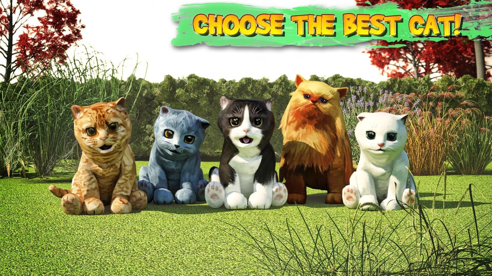 cat-simulator