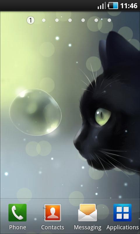 cute-live-wallpaper-for-cats-lovers-curious-cat