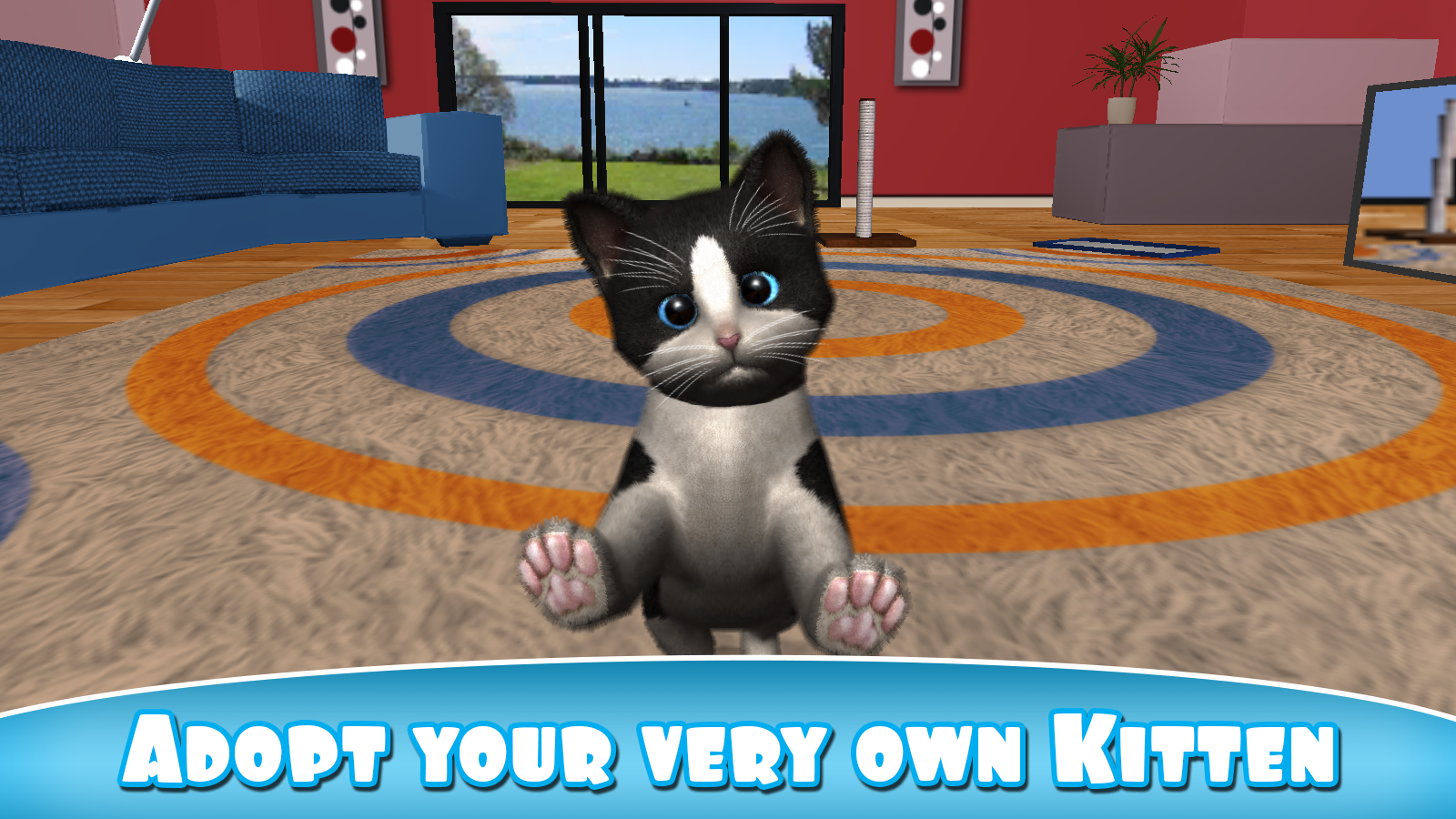 daily-kitten