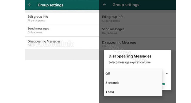 WhatsApp Feature