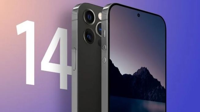 iPhone 14