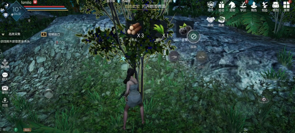 Download Light and Dark MMORPG