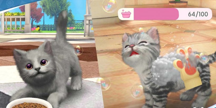 My Pet Cat Simulator