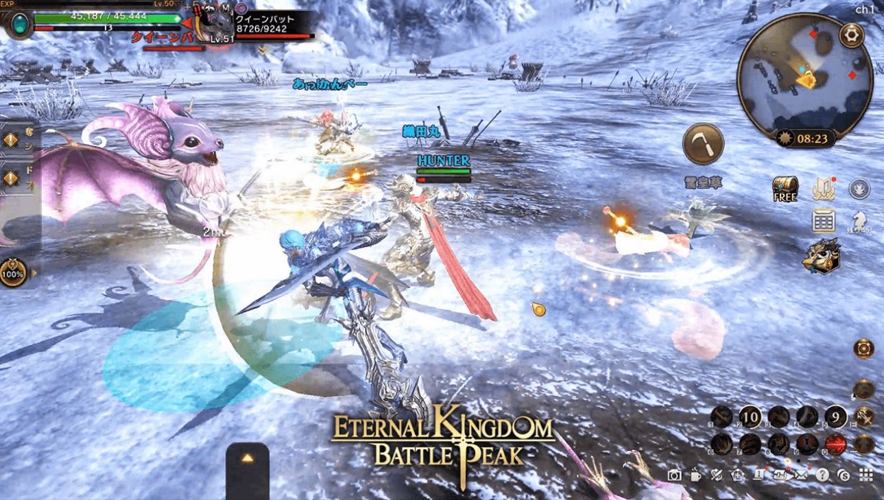 Eternal Kingdom Battle Peak