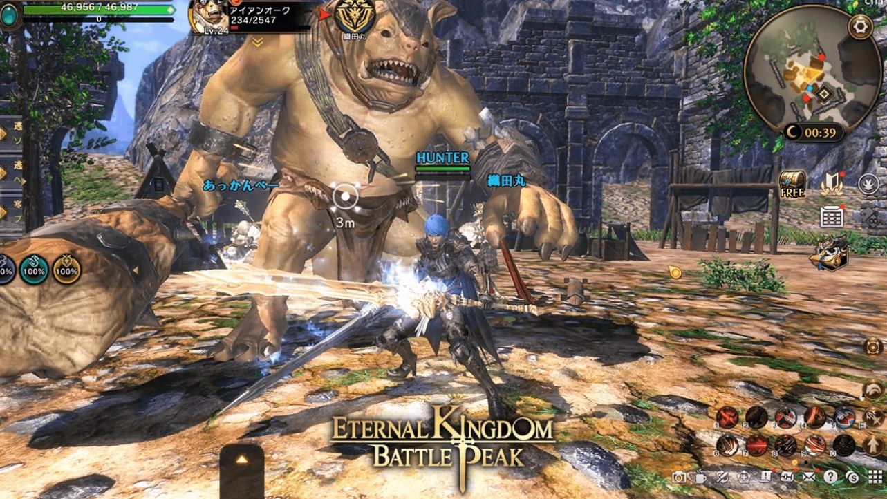 Eternal Kingdom Battle Peak