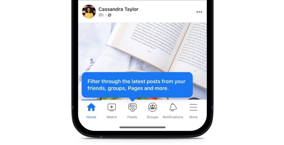 Feed Facebook