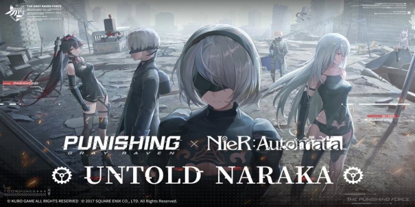 Punishing Gray Raven NieR