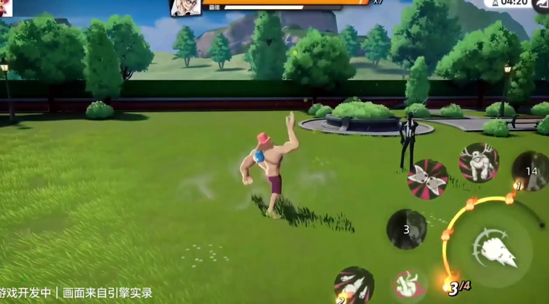 One Piece Codename Partner