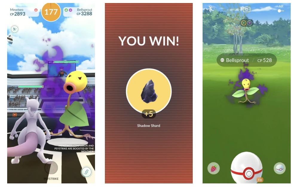 Pokemon GO Shadow Raid