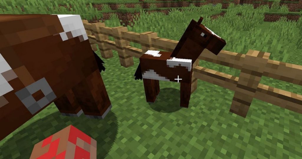 How to Breed Horses in Minecraft