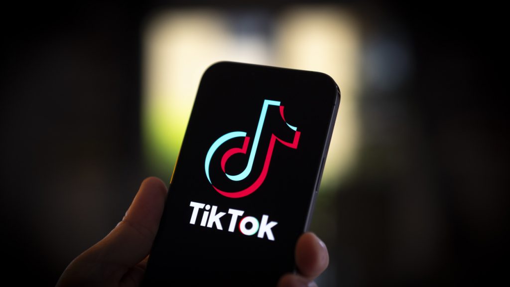 TikTok Not Working