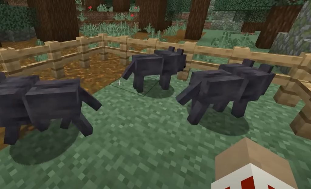 Wolf Variants Minecraft