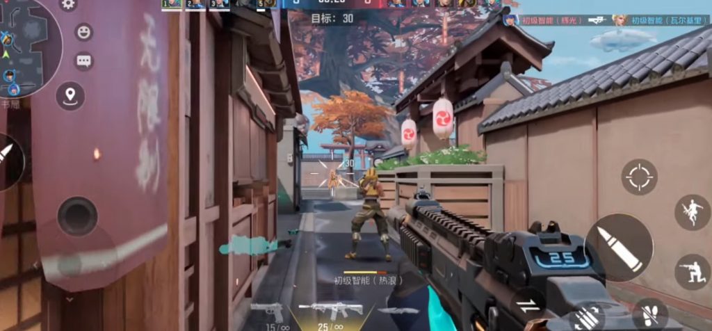 Operation Apocalypse