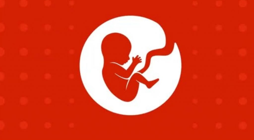 BitLife