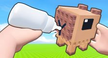 Build a Zoo