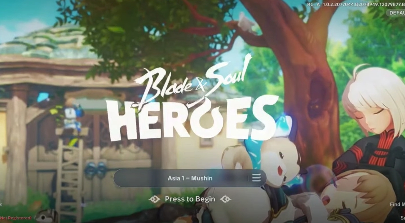 Blade and Soul Heroes