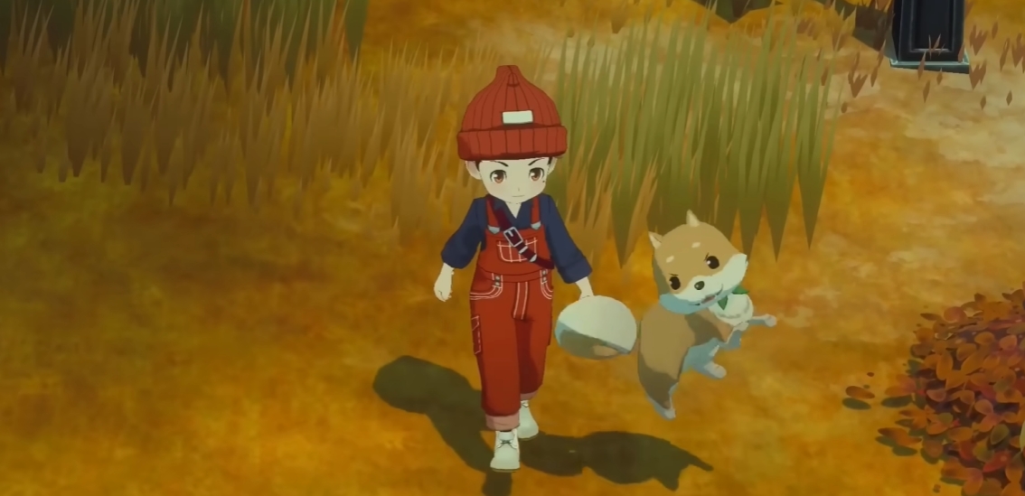 How to Make Your Pets Jump in Story of Seasons Grand Bazaar