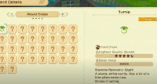 Trends Story of Seasons Grand Bazaar Guide