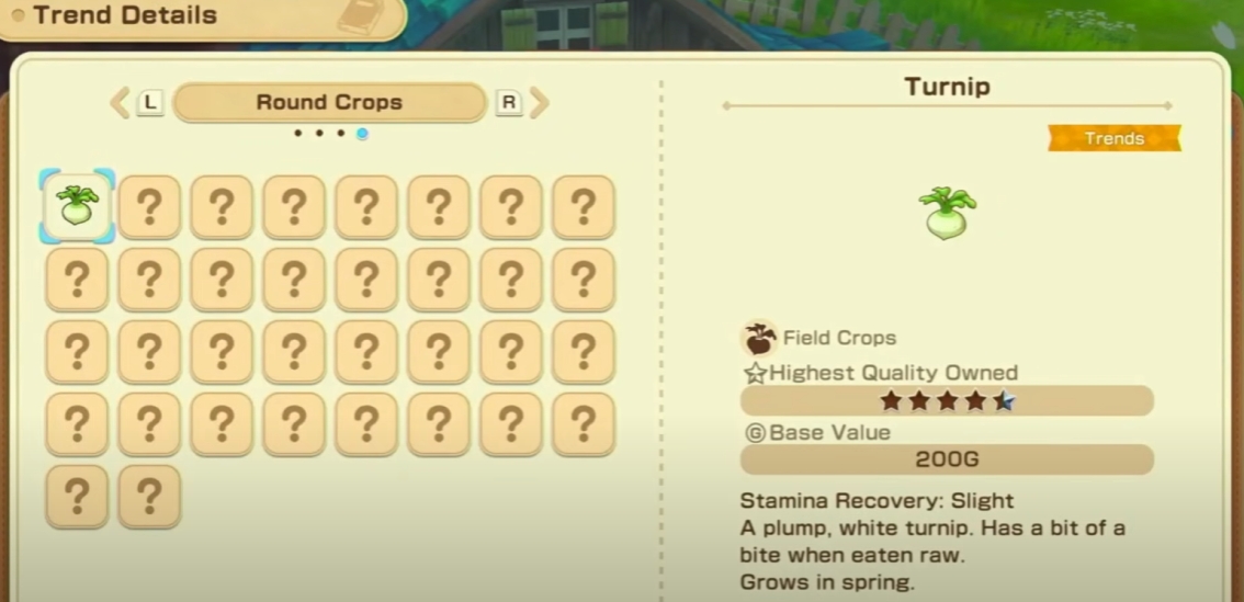 Trends Story of Seasons Grand Bazaar Guide