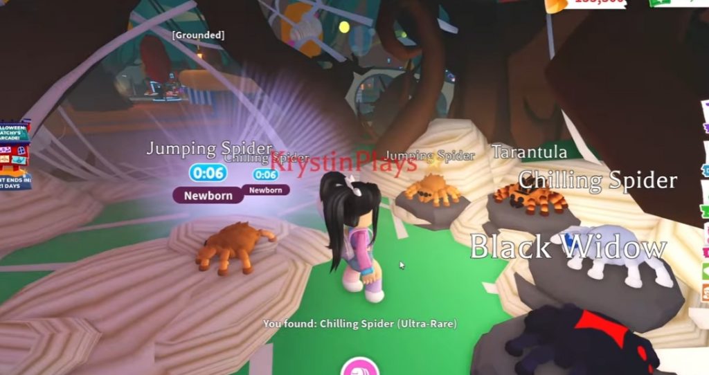 How to Get All 4 Spiders in Adopt Me Guide and Drop Rate!