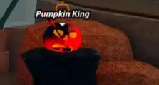 Pumpkin King Fisch Guide, How to Talk & What It Is Used for?