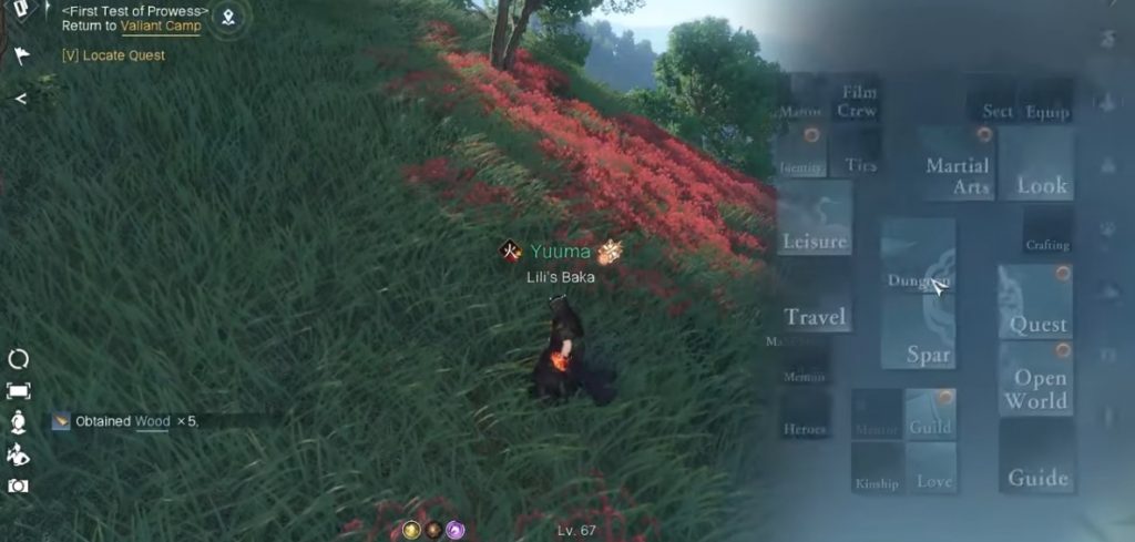 Sword of Justice – Life Skill Identity System Guide