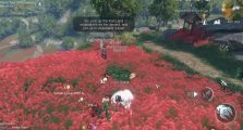Sword of Justice – Life Skill Identity System Guide