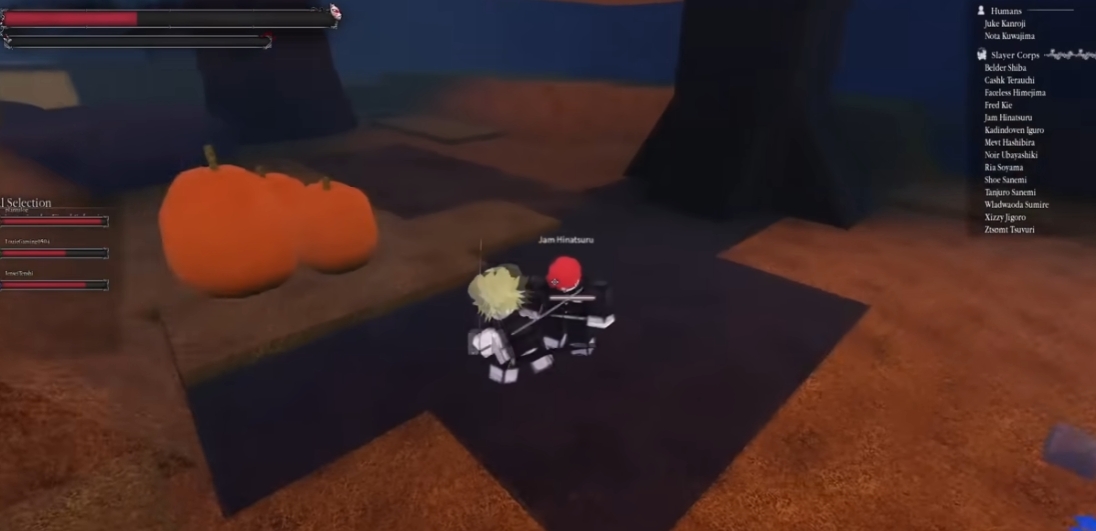 New Moon Final Selection Guide – Fast Rank Up & Location Explained