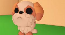 Adopt Me How to Get Shih Tzu Fast & Easy Guide