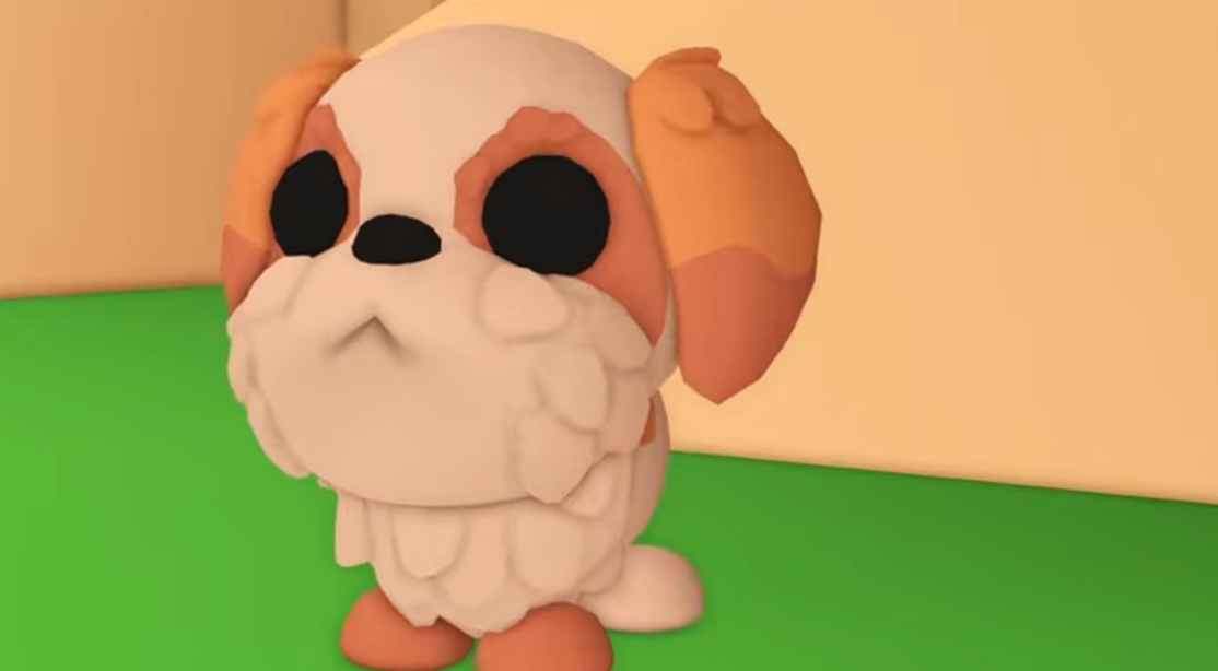 Adopt Me How to Get Shih Tzu Fast & Easy Guide