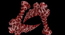 Weak Legacy 2 Update 6 Guide: Blood Manipulation Rework, and New Codes