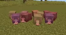 How to Make an Armadillo XP Farm in Minecraft