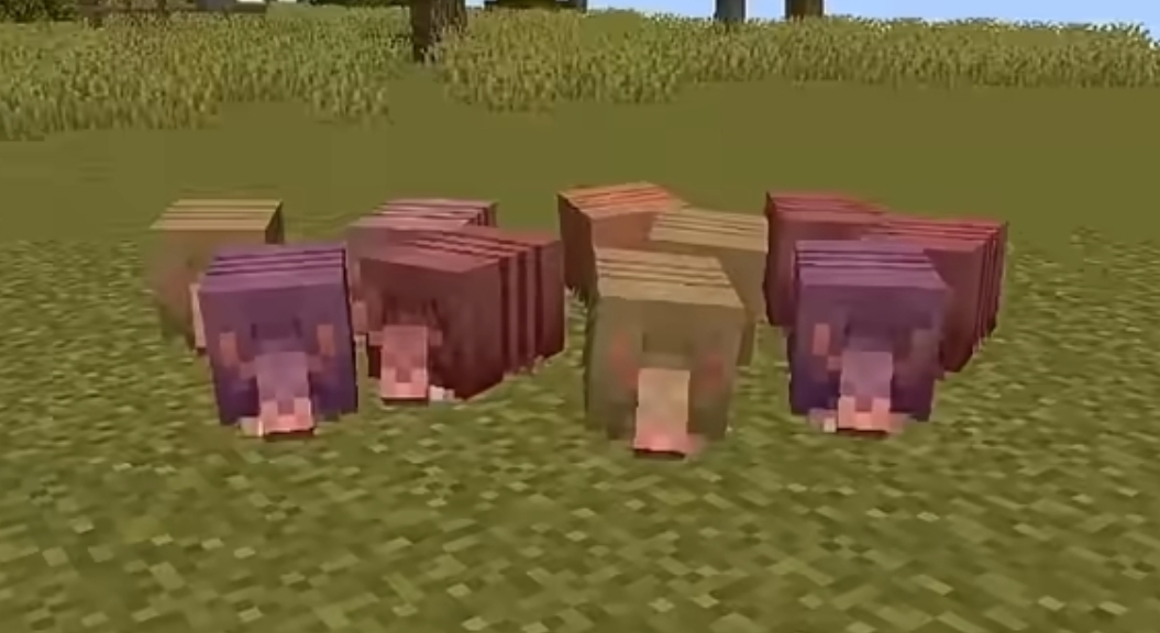 How to Make an Armadillo XP Farm in Minecraft