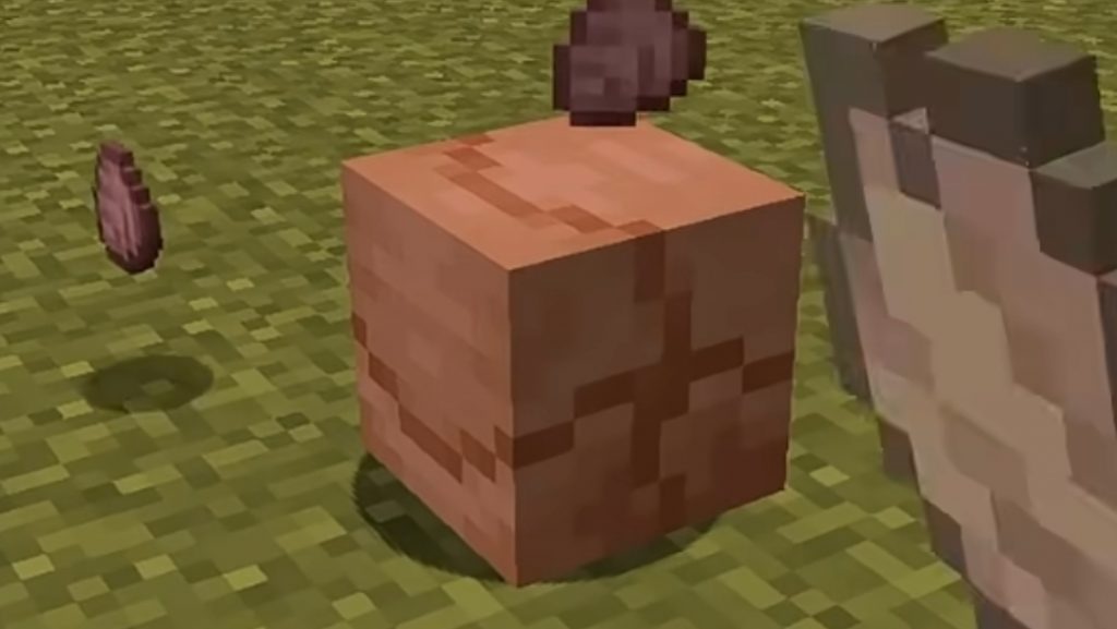 How to Make an Armadillo XP Farm in Minecraft