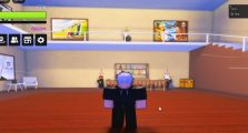 Ultimate Kage Seas Beginner Guide, How to Play!