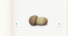 How to Find Matsutake Mushroom Heartopia Guide