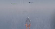 Tidefall Update Fisch Guide, How to Unlock and Complete the New Area!