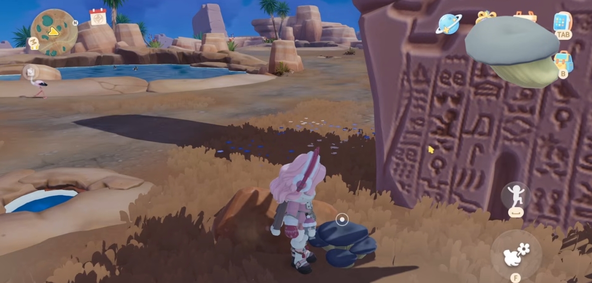 All Mushroom in Heartopia Guide, Location & Where to Find!