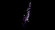 Spiritbinder Rod Fisch Guide, Is It Actually Worth Using?