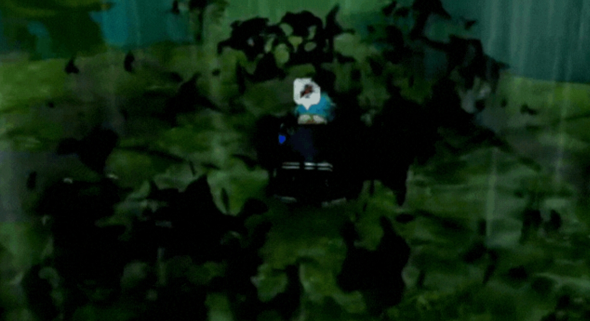 All Arcane Scroll Excry Guide & How to Obtain!