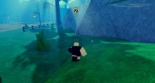 Soul Swap Sorcerer Ascent Guide, How to Get & Use!