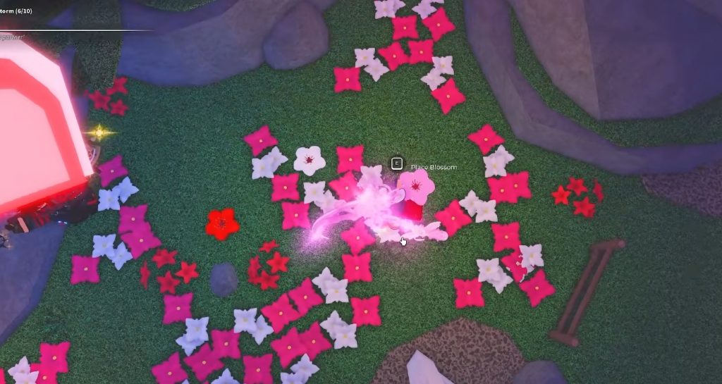 How to Find 3 Blossom Fisch Valentides Event Guide!