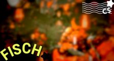 Fisch Scoria Reach Update Guide: New Island, Rods, Events & Code