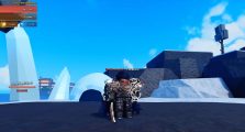 Rogue Piece Sung Jinwoo & Igris Guide!