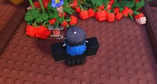 All New Seed Shop Garden Horizon Guide